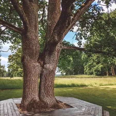 Stamerienas * Stāmeriena
